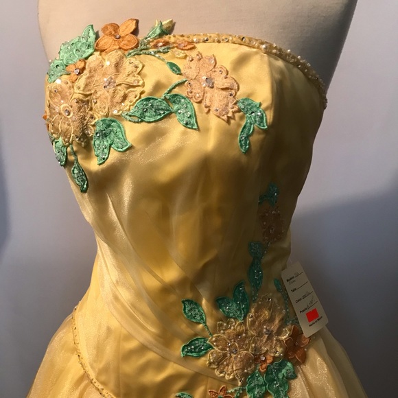 Quinceañera/ Prom Dress - Picture 2 of 4